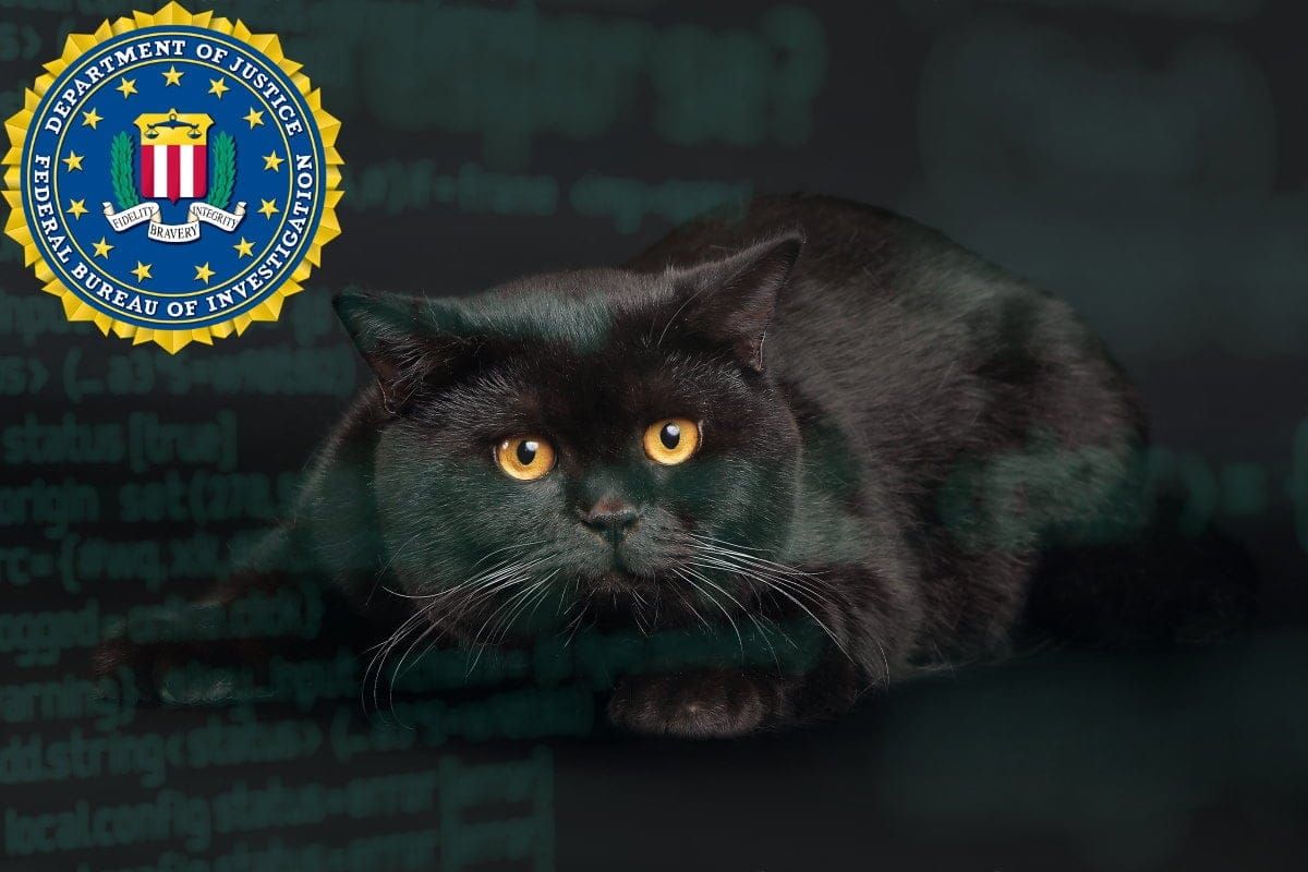 BlackCat/ALPHV: A New Age Ransomware Threat