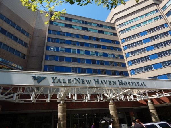 Yale New Haven Health Settles for $18 Million Following Massive 5.6 Million Patient Data Breach