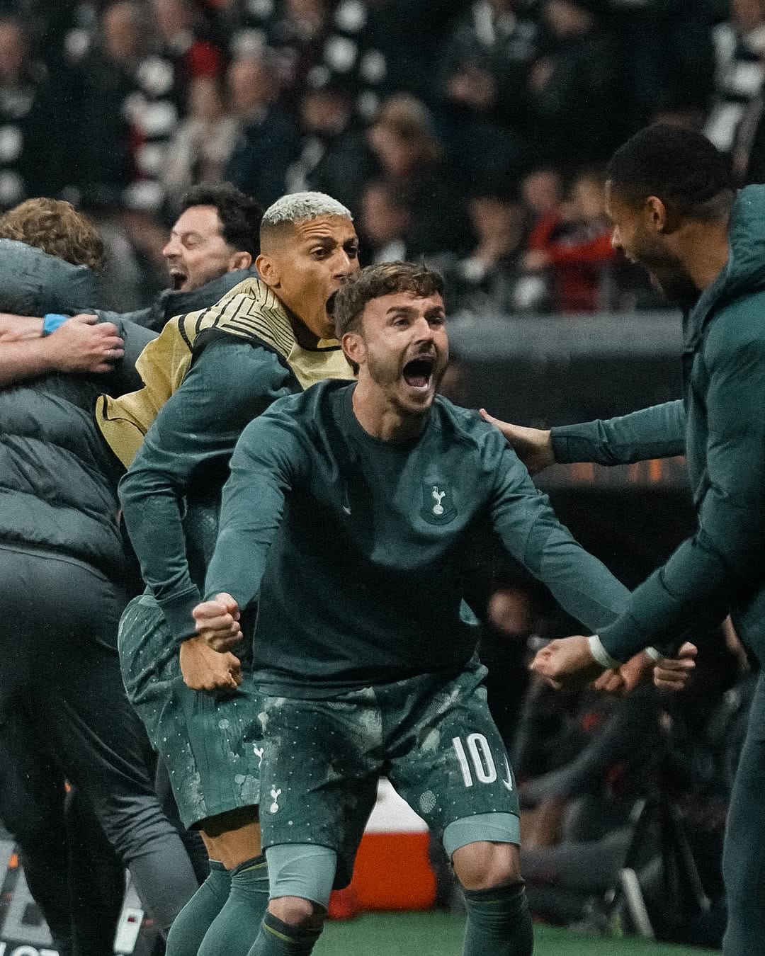 James Maddison shouts in celebration.