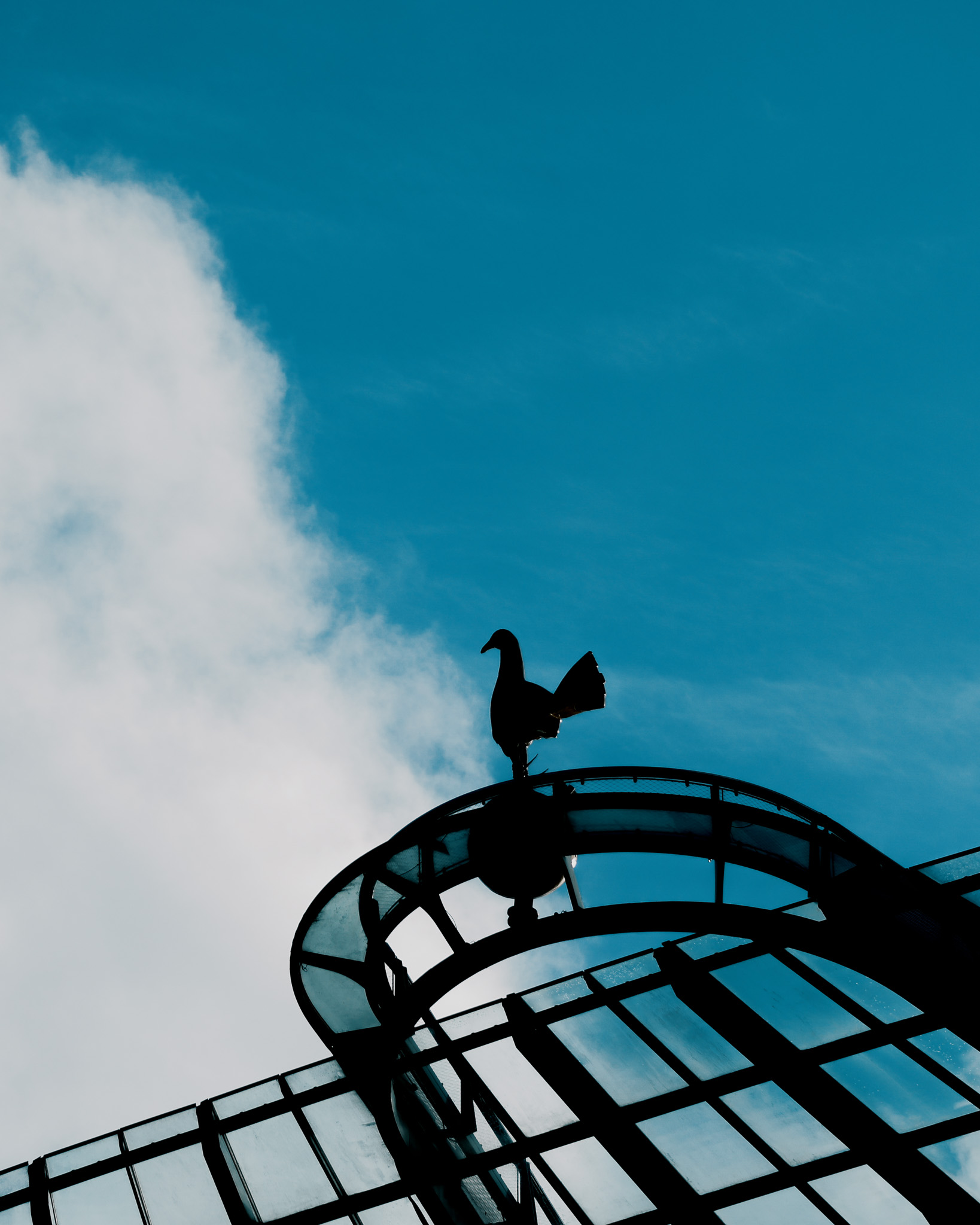 The cockerel and sky walk in shadow against a background of clouds.