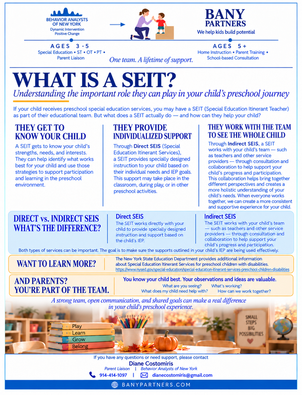 What is a SEIT?