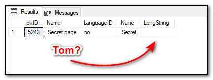 Secret property in SQL Management Studio