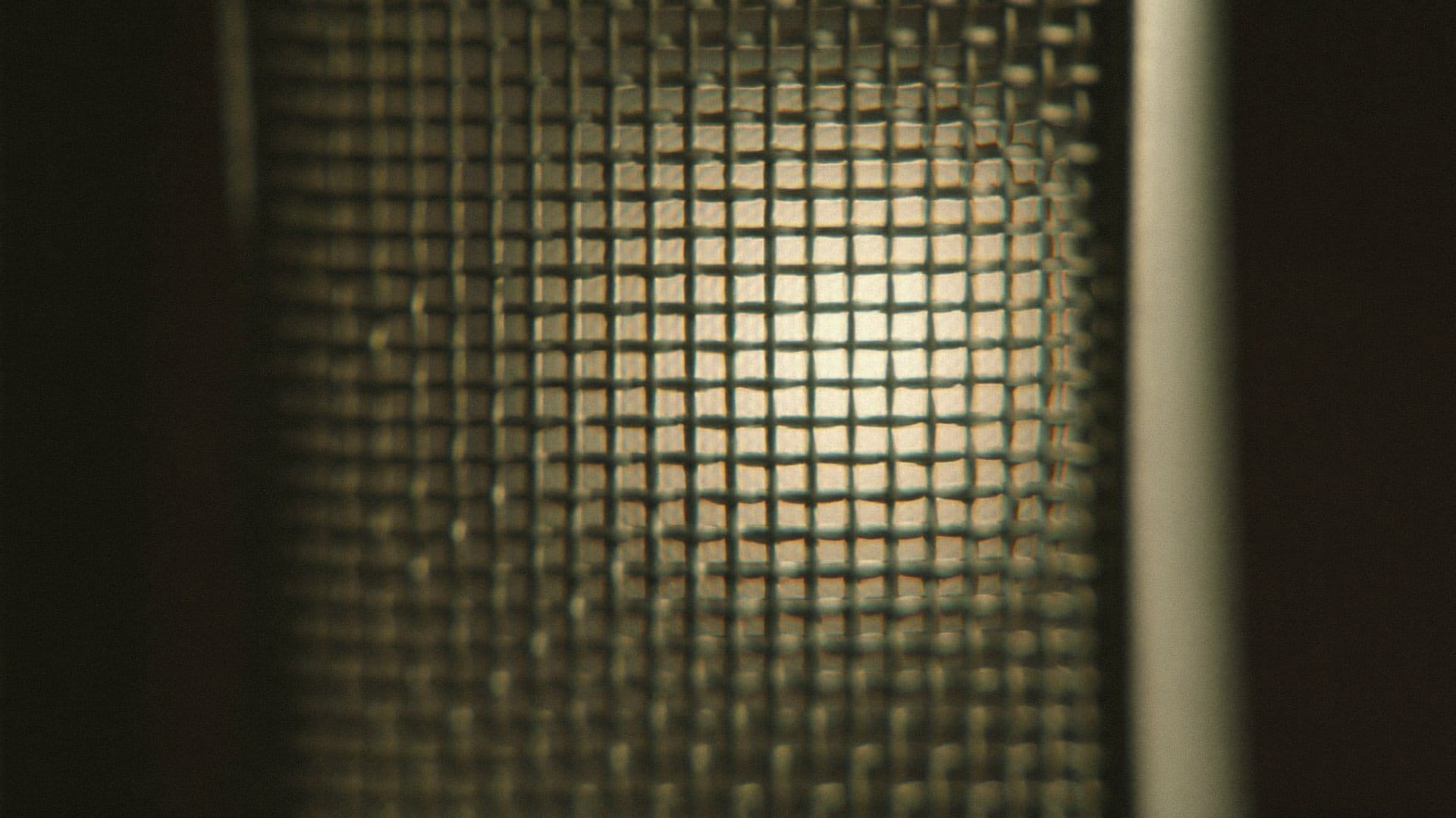 Macro photograph of a studio microphone grille