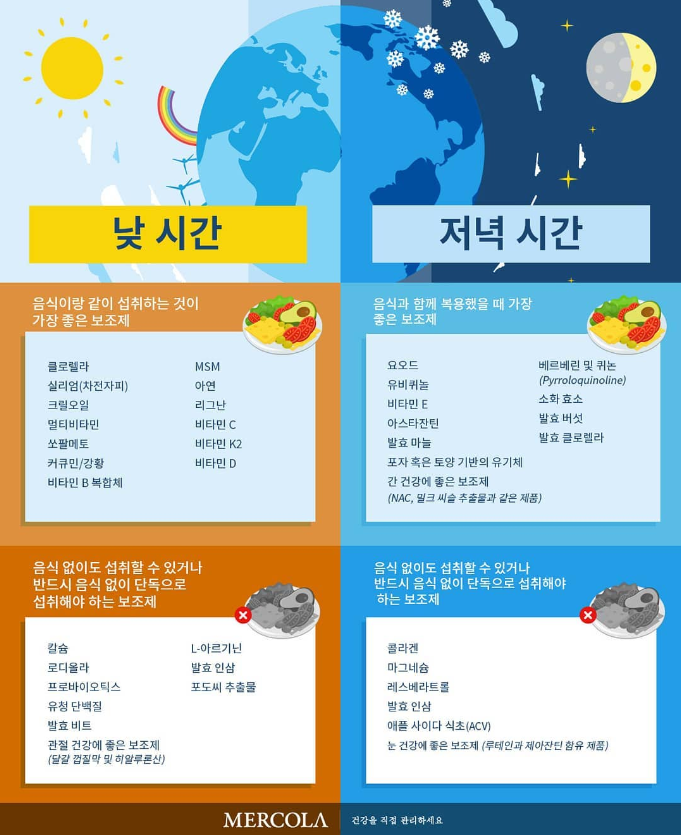 영양제 섭취 시간
