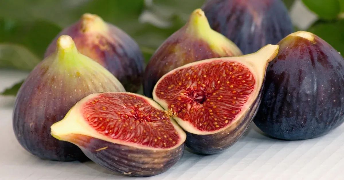 무화과의 효능은?