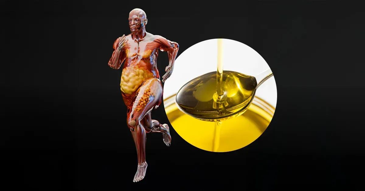 새 연구, 올리브 오일이 다른 지방보다 비만을 더 크게 유발한다고 주장