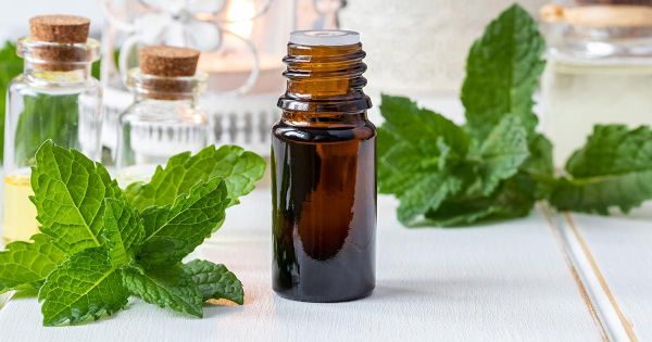 페퍼민트 오일은 과민성 대장 증후군의 증상을 완화합니다