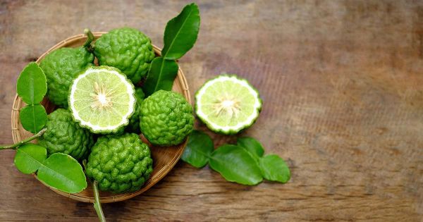 베르가못 재배의 이점