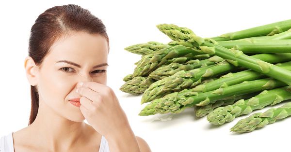 아스파라거스 소변 냄새의 원인은 무엇인가요?