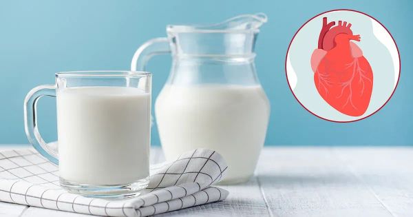 전지방 유제품이 심장병을 촉진할까요? 연구는 아니라고 합니다