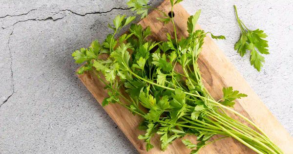 여러분은 영양 가득한 이 음식을 버리고 있나요?