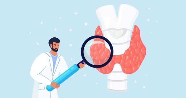 여러분의 부신이 갑상선에 영향을 미치고 있나요?