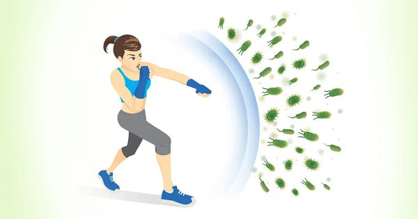 연구에서는 미토콘드리아 기능 장애와 면역 저하를 연관시켜 암 치료의 길을 열었습니다