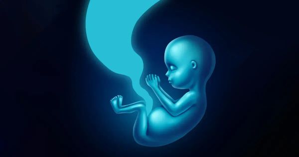 불소는 태아의 신경 발달을 위험에 빠뜨릴 수 있습니다