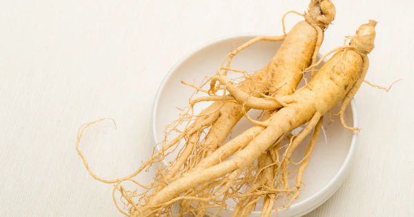 인삼의 건강 효능