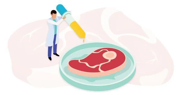 조셉 머콜라 박사가 말하는 가짜 고기의 위험성