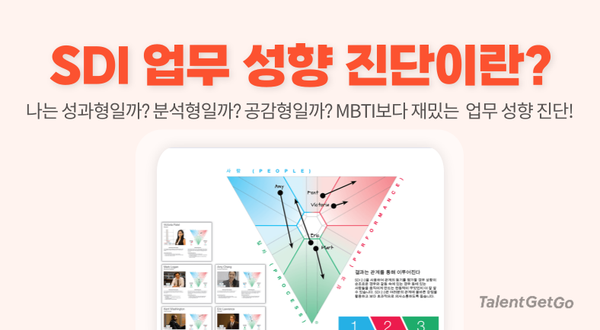 SDI 성향 진단이란? 협업 성향부터 갈등 반응까지, 가장 정확한 ‘조직 성향' 측정 도구