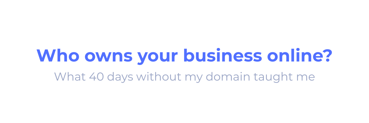 Newsletter cover titled 'Who owns your business online?' in blue and black on a light gray background.