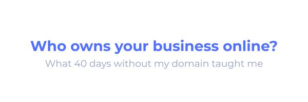 Newsletter cover titled 'Who owns your business online?' in blue and black on a light gray background.
