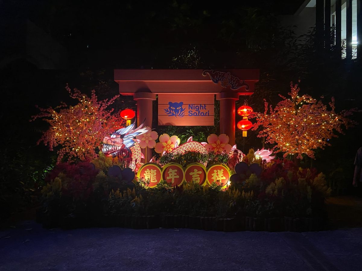 Day 2 in Singapore - Tour by Val & Jacob and Night Safari