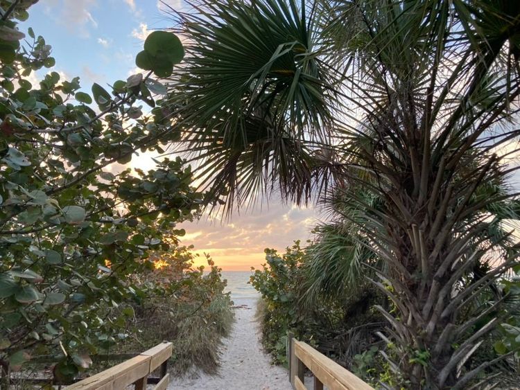 Winter '21-'22 Englewood, FL Video