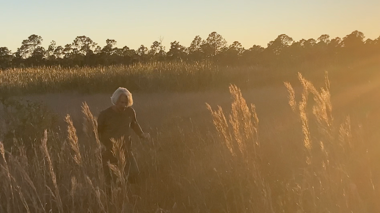 WATCH FIRST:  Into The Harvest