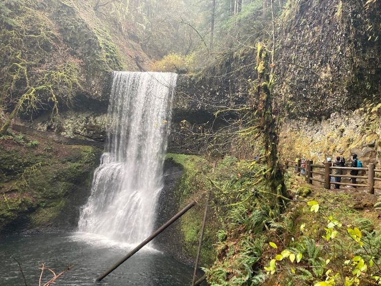 The Toma's: Faith Has Feet!