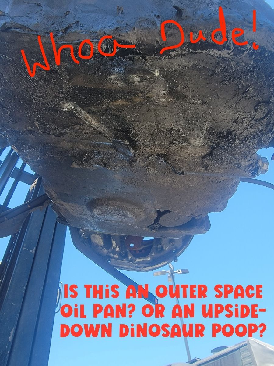 1st Engine arrived to mechanic & was HORRIBLE!!!!  2nd Engine ordered a month ago, NOW Parts STUCK IN CUSTOMS in Germany! There is fruit anyway...