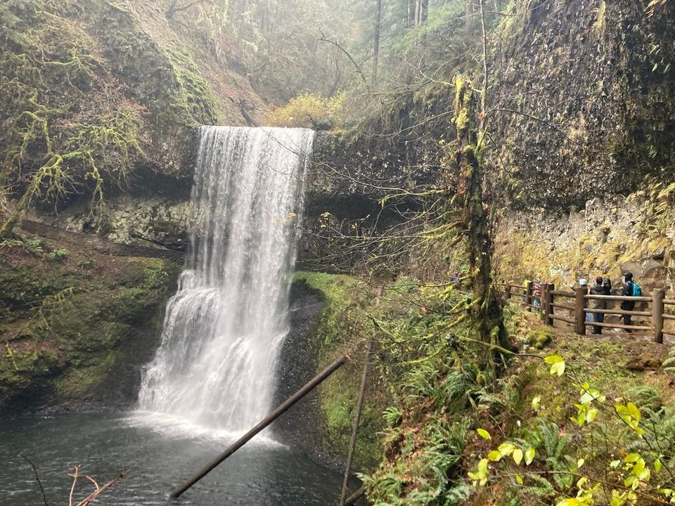 The Toma's: Faith Has Feet!