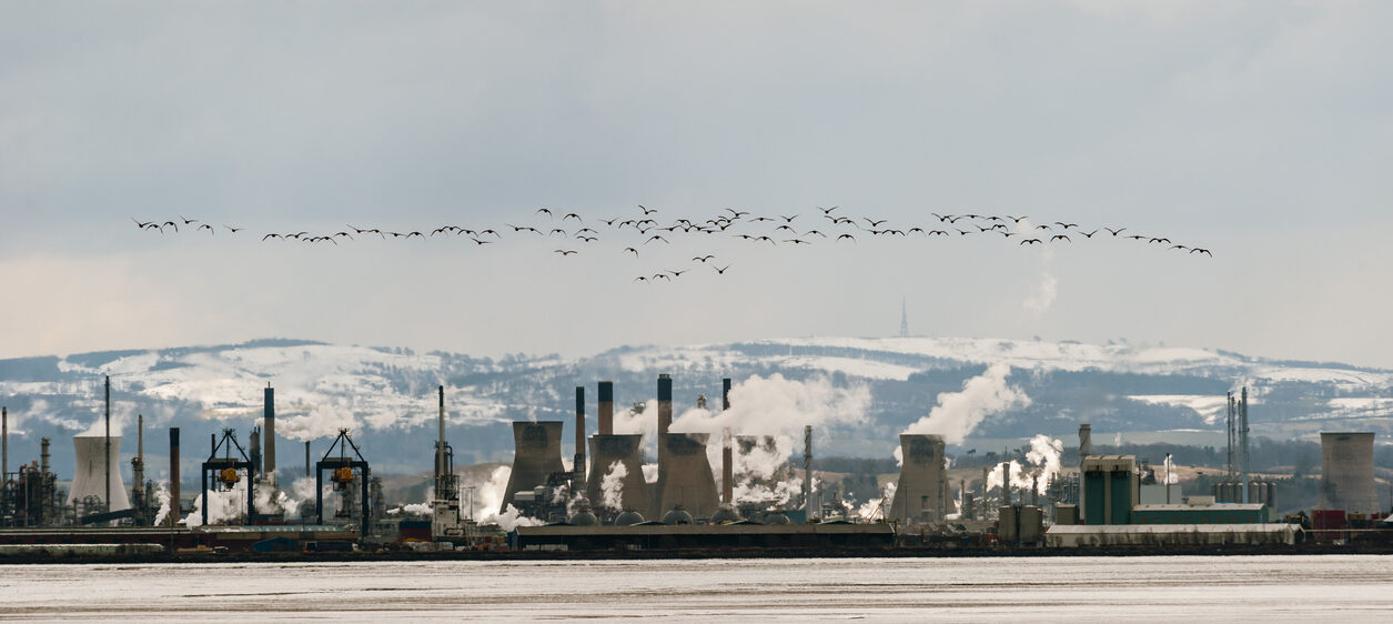 ineos grangemouth