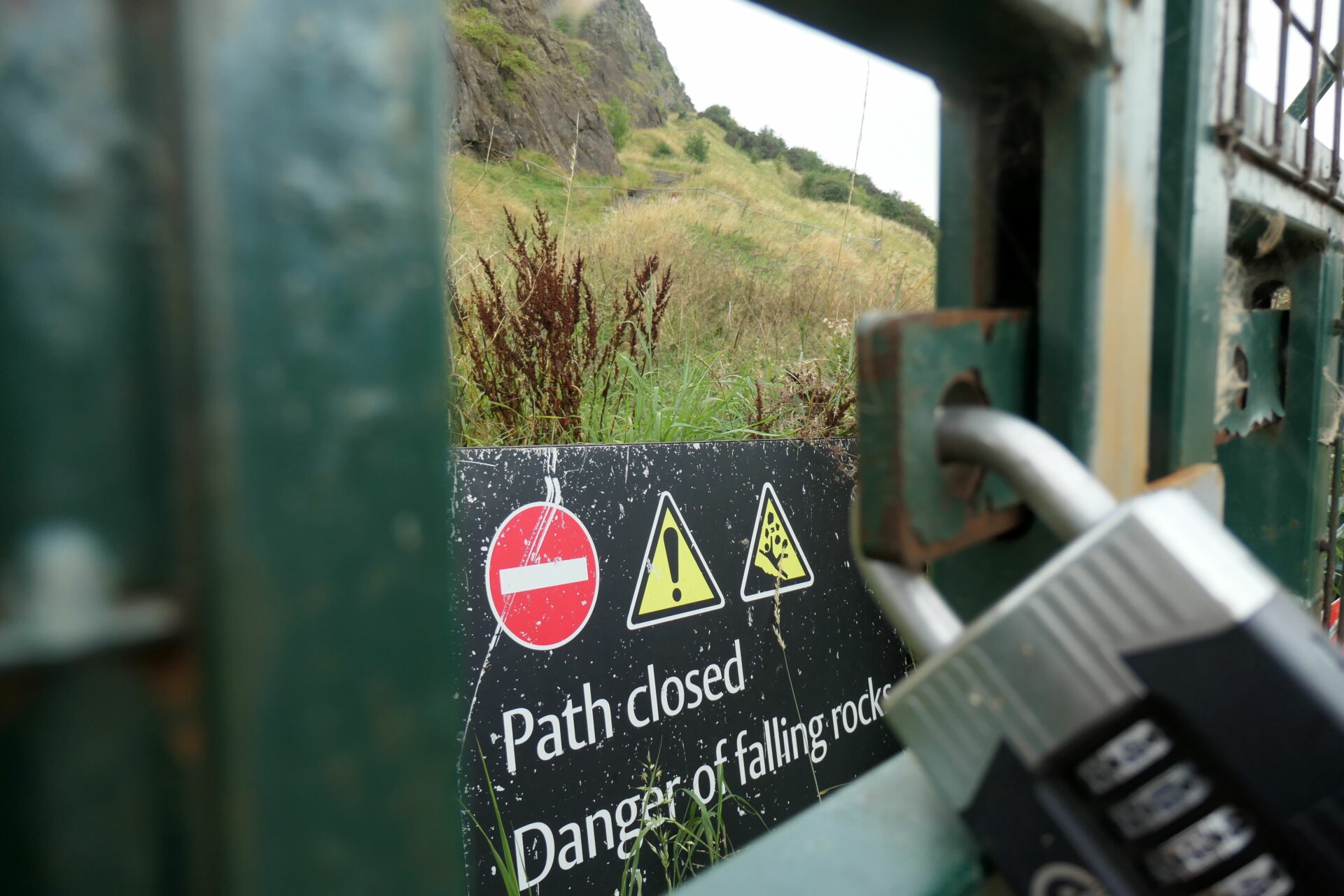 Radical Road