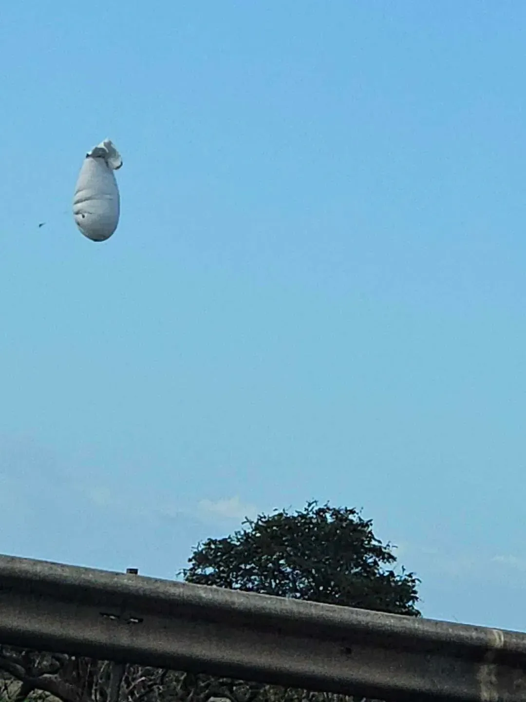 A partially deflated white balloon-like object descending through a blue sky above a roadside barrier and trees.