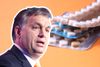 NHS contraceptive pills funding Orban ‘propaganda’ as Hungary restricts abortion