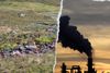 ‘Greenwashing territory’: Tree-planting Abrdn boosts investments in US fossil fuel firms