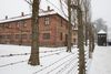Poland's Jewish revival: In the shadow of Auschwitz