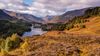 Just three per cent of Scotland’s most fragile natural environments are monitored by the agency charged with protecting them