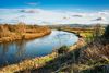 More than 50 rivers polluted by toxic chemicals used to treat fleas on pets