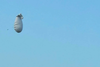 A partially deflated white balloon-like object falling through a clear blue sky.