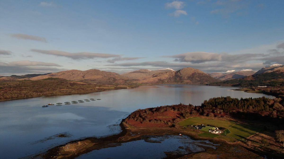 Sepa gave 400 Scottish lochs 'good' environmental status but only checked 54 of them