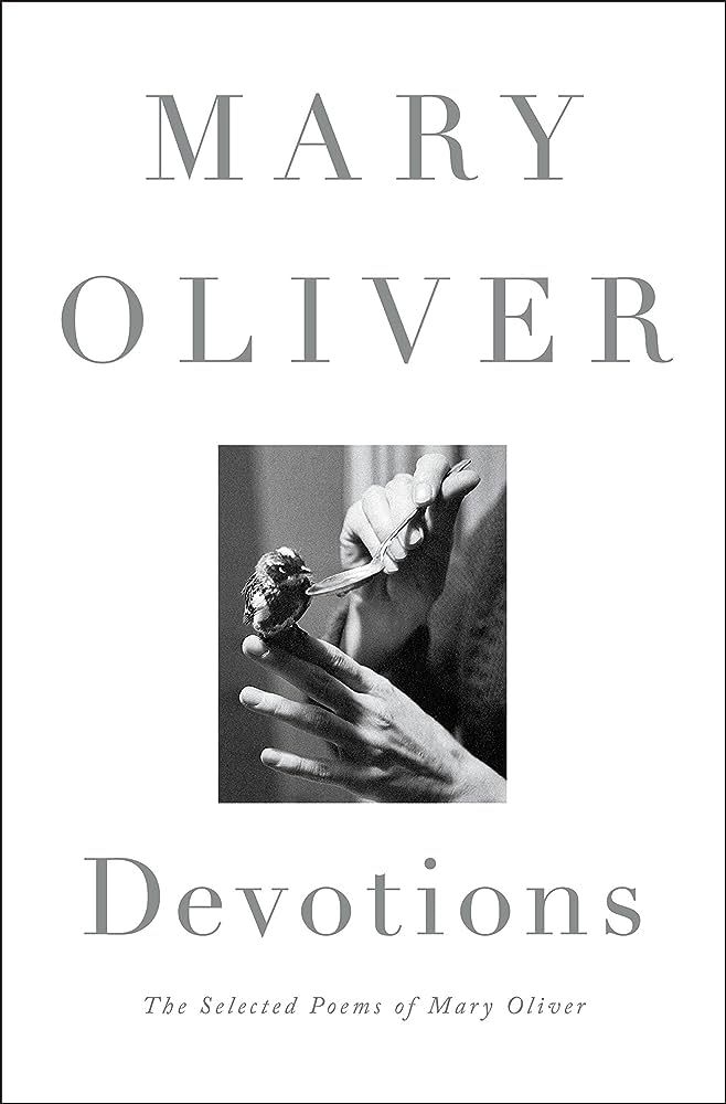 📚 Echoing Mary Oliver