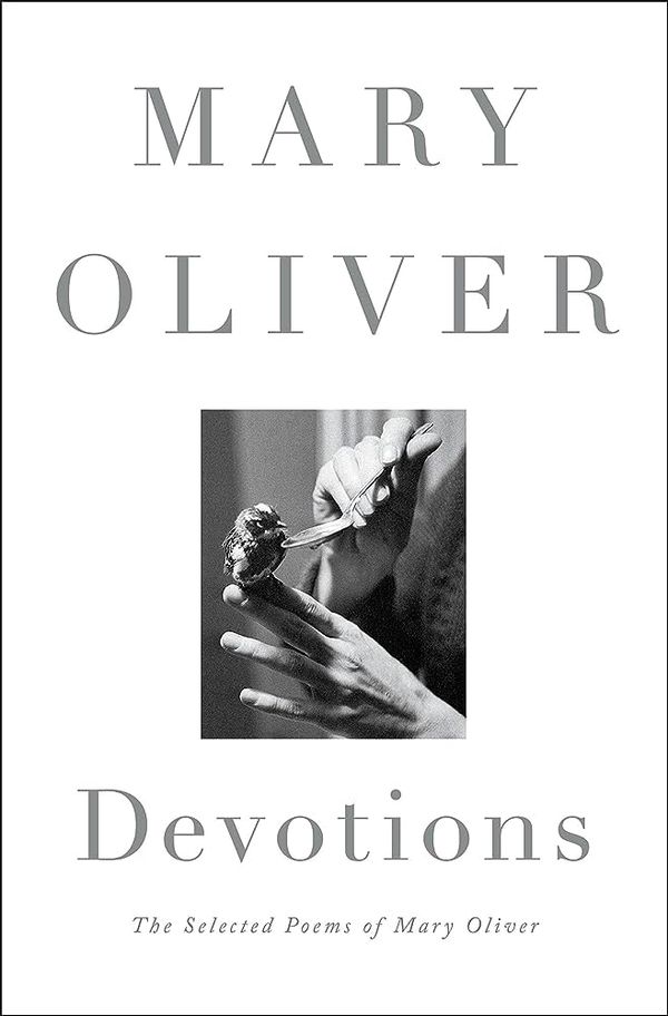 📚 Echoing Mary Oliver