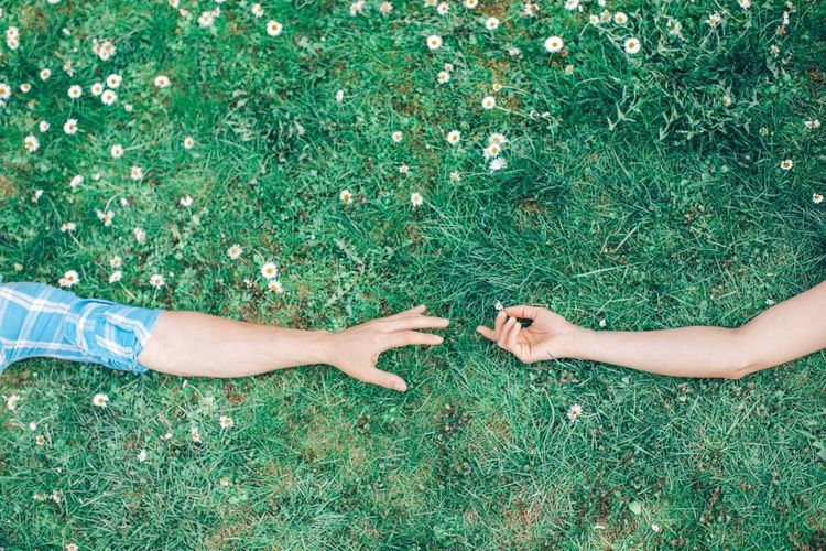 Why Do We Always Fall for the Wrong Person?