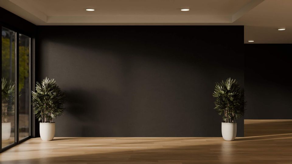 "Minimalist luxury room with dark walls, wood floors, and two potted plants. Soft sunlight streams through a glass window, creating shadows in an empty, quiet office space."