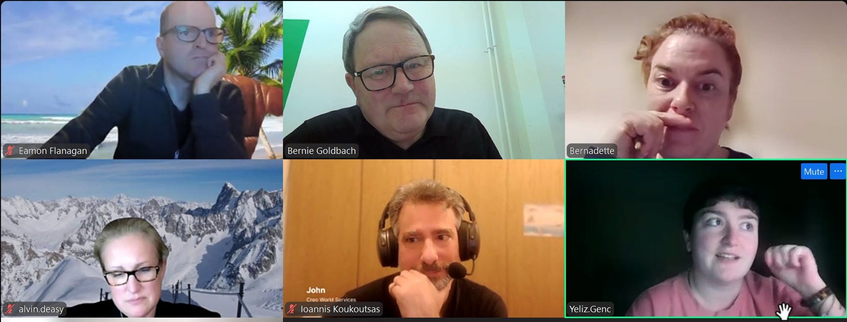 Screenshot of Zoom session