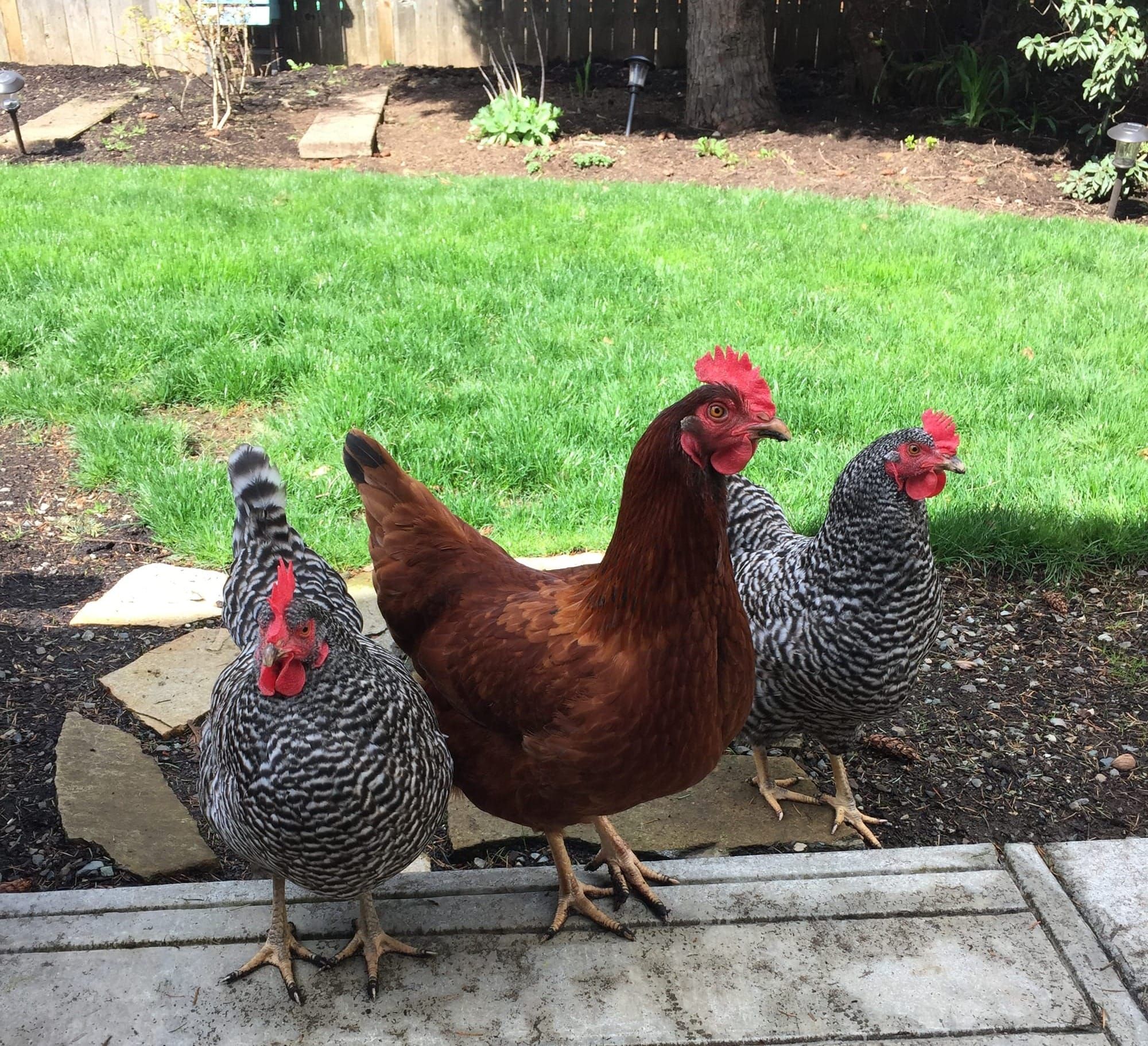 Best Suburbs for Urban Farming in Kansas City