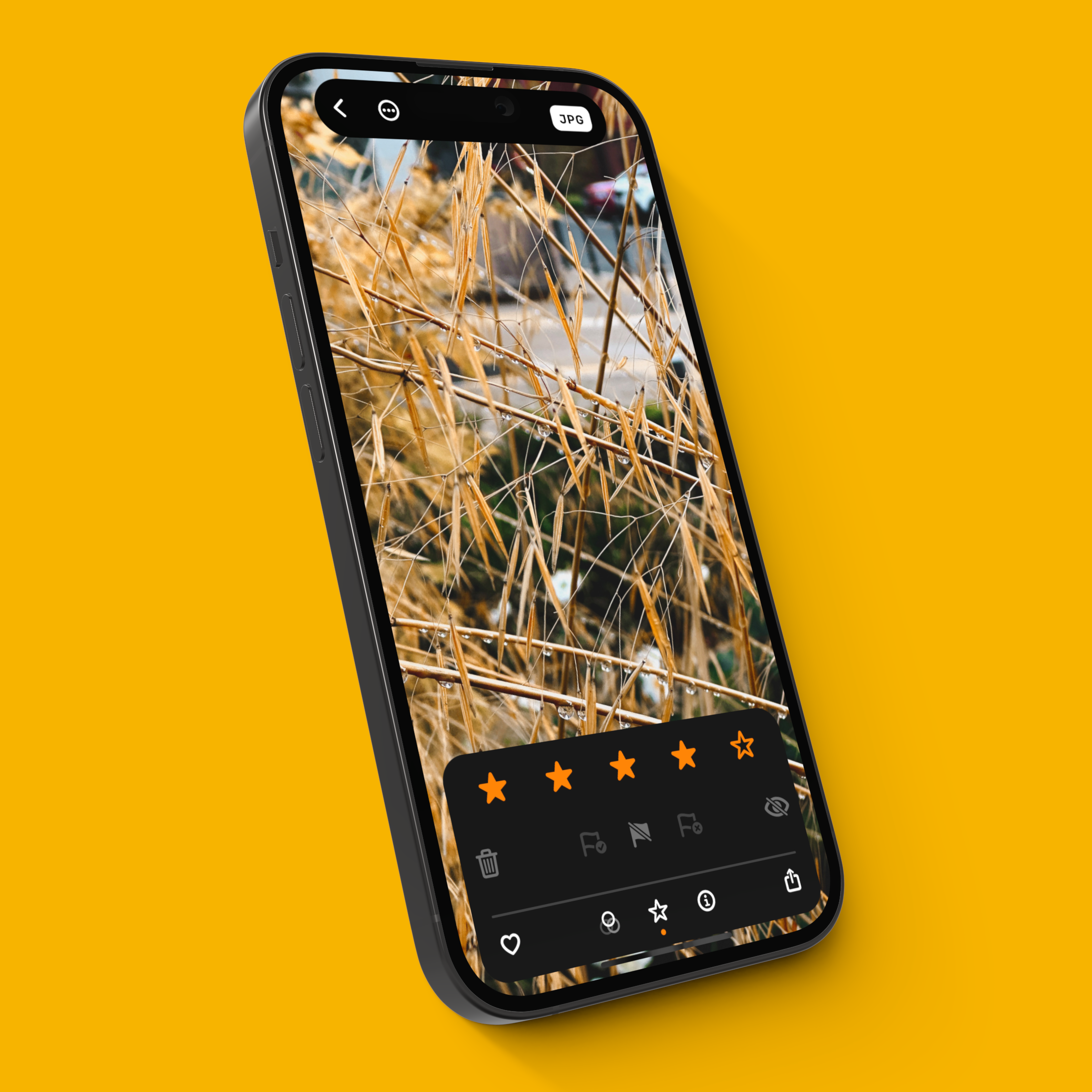 An iPhone 14 Pro showing Obscura’s Image Rating interface over a warm yellow background.