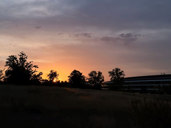Apple Park at sunset