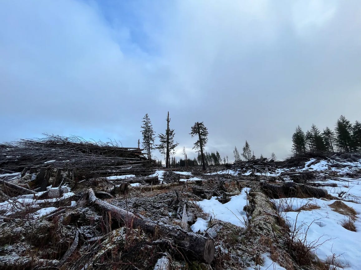 Yakutat Tribal Leader Fears Loss