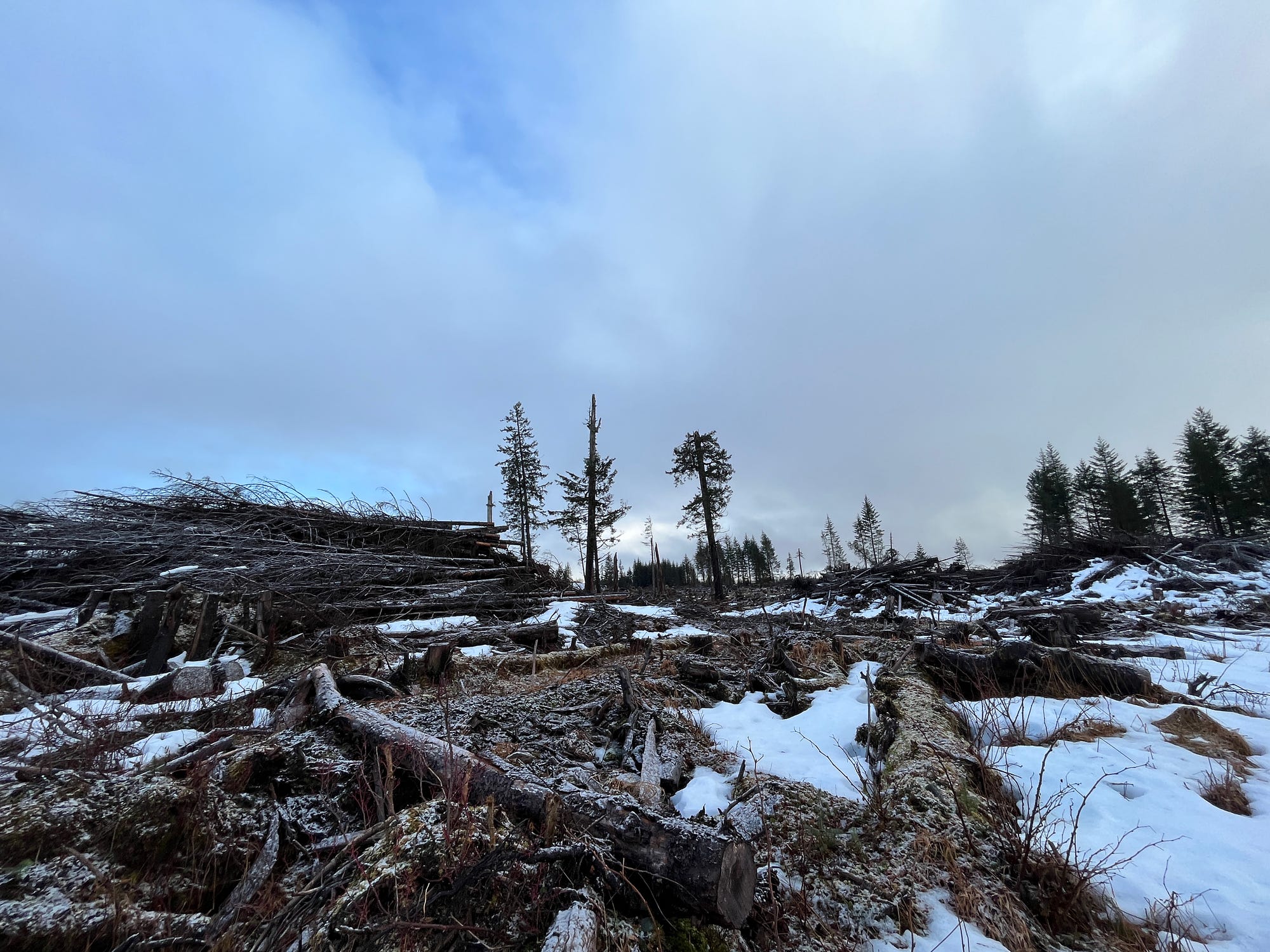 Letter From Yakutat Deep Cuts On