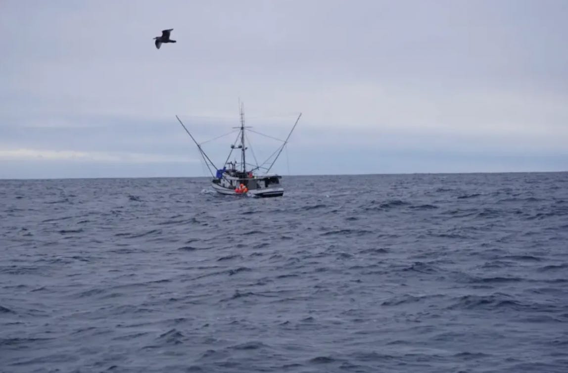 We Can Go Fishing Appeals Court Says